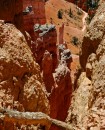 Bryce_0892 * Canyon View * 2000 x 2449 * (1.47MB)