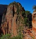 Zion_0496_AngelsLanding * Angel's Landing Ahead * 2000 x 2158 * (1.54MB)