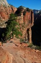 Zion_0516_AngelsLanding * Looking Back * 2000 x 3008 * (2.03MB)