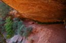 Zion_0110_CanyonOverlook * Welcome Shade * 2869 x 1870 * (1.42MB)