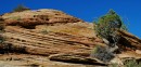 Zion_0139_CanyonOverlook * East Temple Landscape * 2806 x 1352 * (1.45MB)