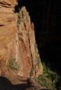 Zion_0210_CanyonOverlook * Precipice * 1996 x 2897 * (1.47MB)
