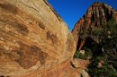Zion_0226_CanyonOverlook * Convergence * 3008 x 2000 * (2.2MB)