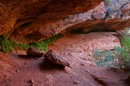 Zion_0239_CanyonOverlook * Overhang * 3008 x 2000 * (1.88MB)