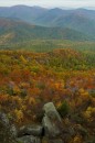 oldrag-30 * 2000 x 3008 * (1.74MB)
