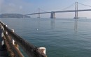 SFO-13 * 2393 x 1523 * (762KB)