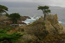 200701-020 * 2835 x 1909 * (1.35MB)