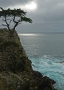 200701-022 * 1984 x 2747 * (1.12MB)