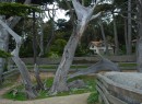 200701-024 * 2399 x 1756 * (1.52MB)