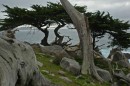 200701-025 * 3008 x 2000 * (1.63MB)