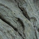 200701-026 * 1746 x 1771 * (1.32MB)