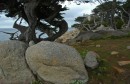 200701-027 * 2931 x 1911 * (1.81MB)