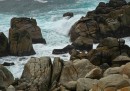 200701-028 * 2842 x 1998 * (1.49MB)
