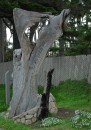 200701-030 * 1679 x 2385 * (1.39MB)