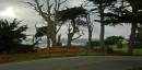 200701-032 * 2778 x 1378 * (951KB)