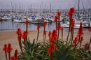 200701-035 * 3008 x 2000 * (1.31MB)