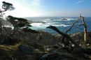 200701-049 * 3008 x 2000 * (1.45MB)