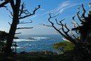 200701-051 * 2928 x 1998 * (1.21MB)