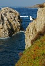 200701-063 * 1957 x 2858 * (1.69MB)