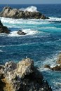 200701-066 * 1908 x 2827 * (1.76MB)