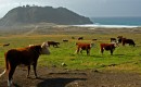 200701-081 * 2583 x 1599 * (1.34MB)