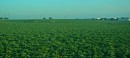 200701-107 * 2951 x 1340 * (1.08MB)